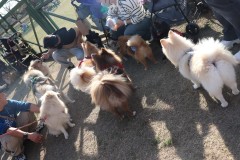 LINE_ALBUM_ぽん太（サンタ乗せ🦌）②_231210_201