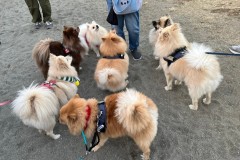 LINE_ALBUM_ロッティ_231211_2